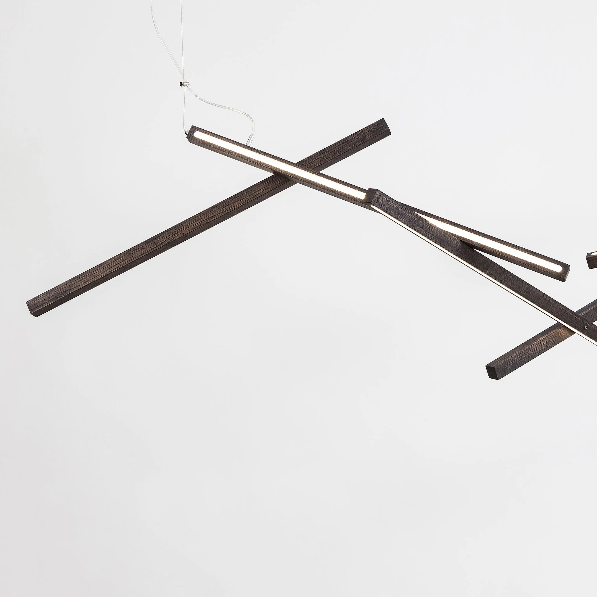 DNA horizontal - Image 10