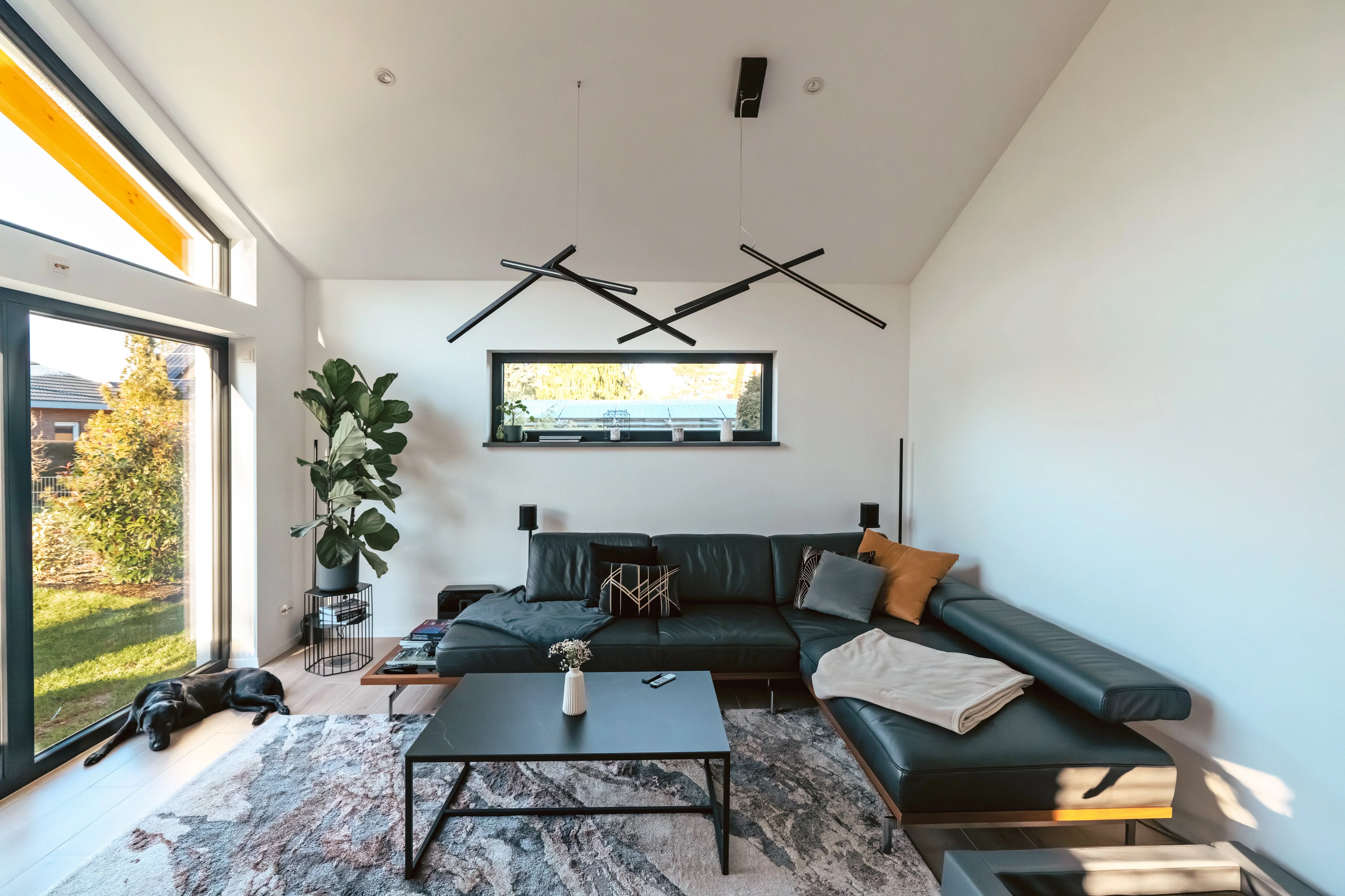 DNA horizontal - Image 22