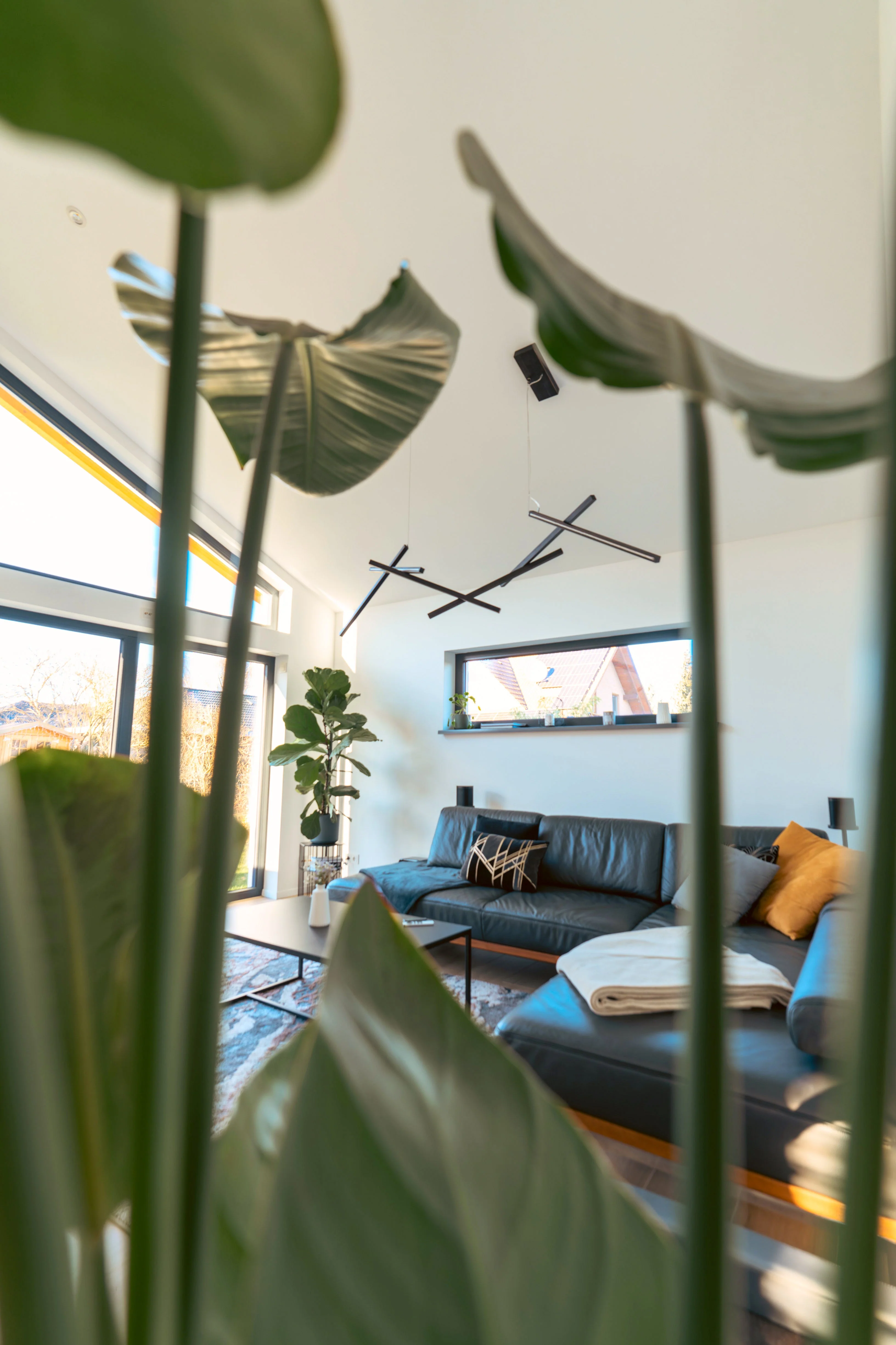 DNA horizontal - Image 23