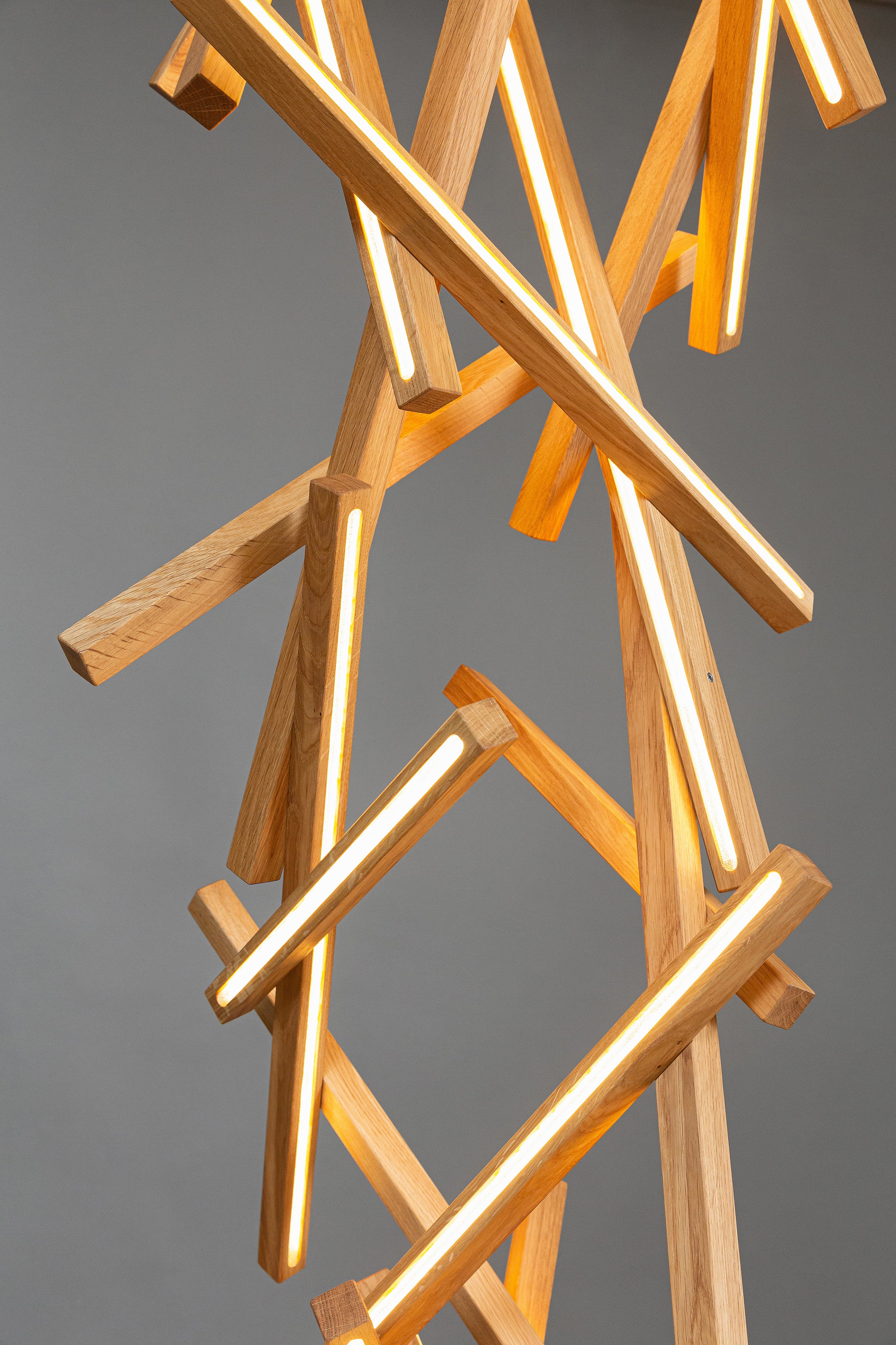 GENESIS LONG - Image 13